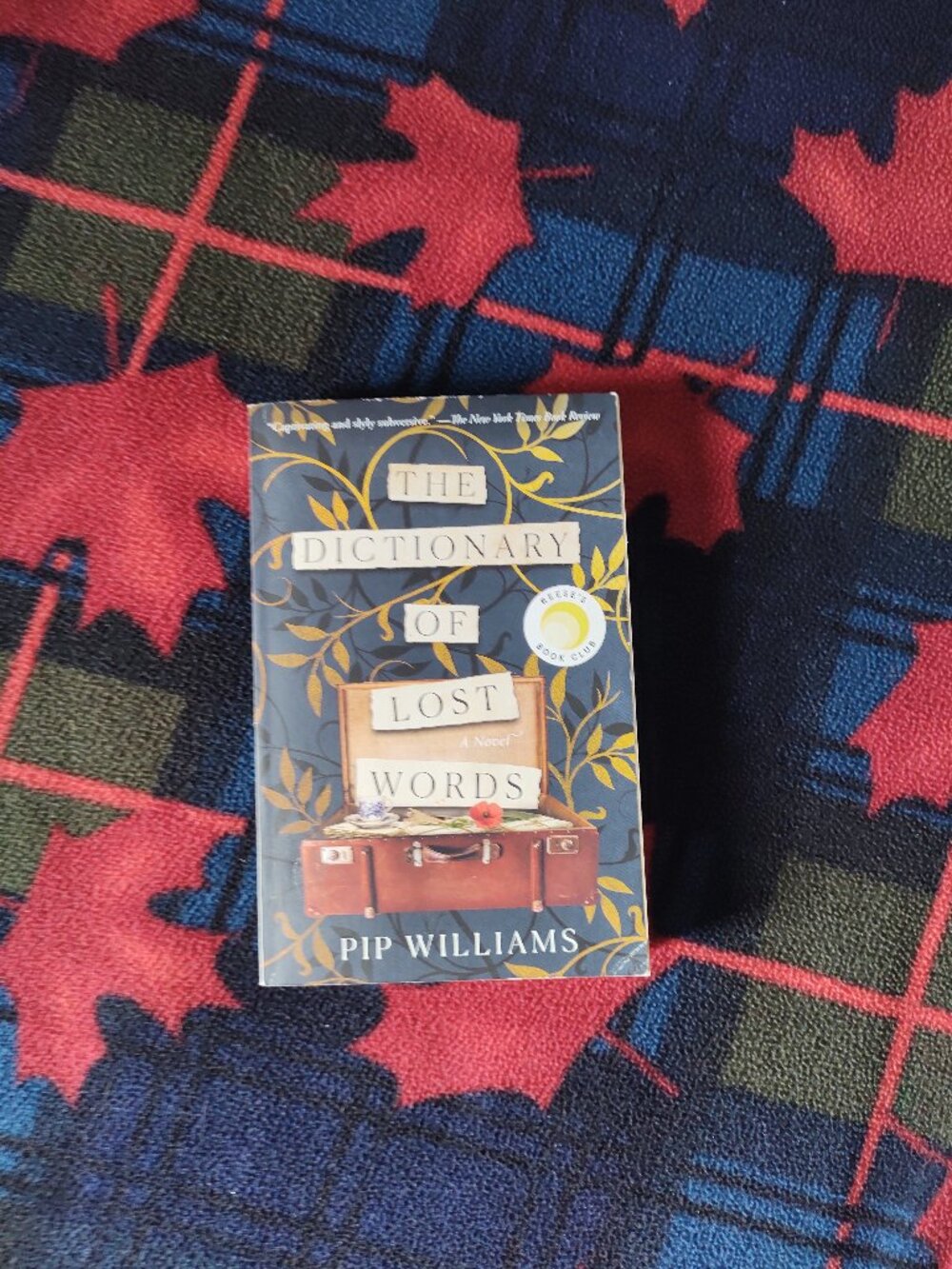 📚 3/$15 or 5/$20 📚 Book - The Dictionary of Lost Words by Pip Williams